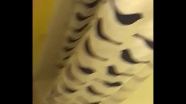 head